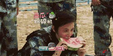 娱乐吃瓜地,吃瓜群众背后的故事  第3张