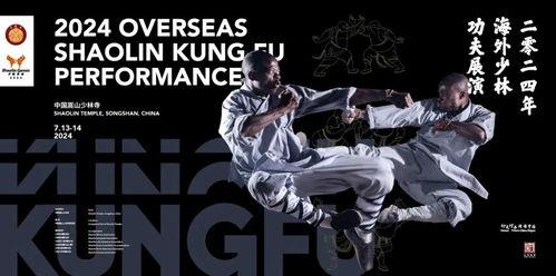 少林高手爆料视频大全,独家爆料视频大全背后的传奇故事  第2张