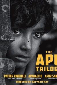 大地印度在线观看,在线探索神秘印度文化的视觉之旅  第2张