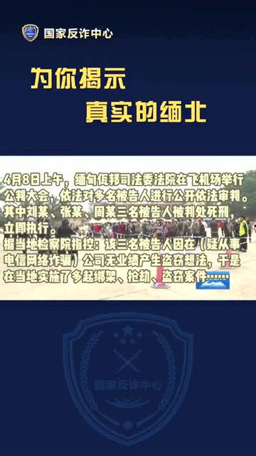 缅北视频爆料是真的吗,真相究竟如何？  第3张